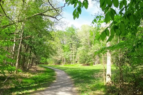Off the Beaten Path Hike at Bradley Palmer State Park in Hamilton Massachusetts
