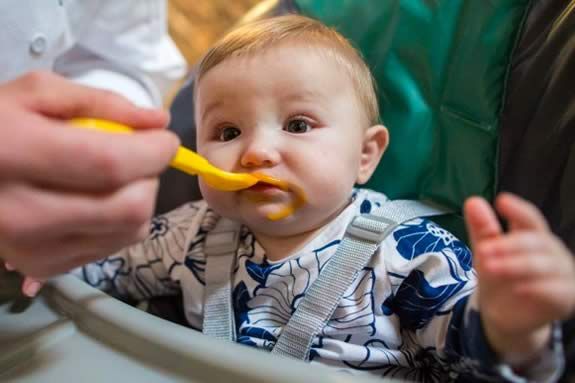 Baby Food Making Seminar With Special Guest Seth Fernald, Executive Chef at Lil Foodie at Bright Horizons Education Center and Preschool North of Boston in North Reading MA Bright Horizons in North Reading. Day Care and Preschool Education Centers in MA