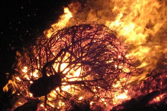 Come to Dead Horse Beach in Salem for the annual Christmas Tree bonfire!