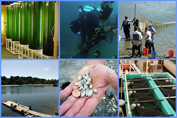 Tour Salem State's Cat Cove Marine Lab for Trails & Sails! FREE! Tour Salem State's Cat Cove Marine Lab for Trails and Sails! FREE!