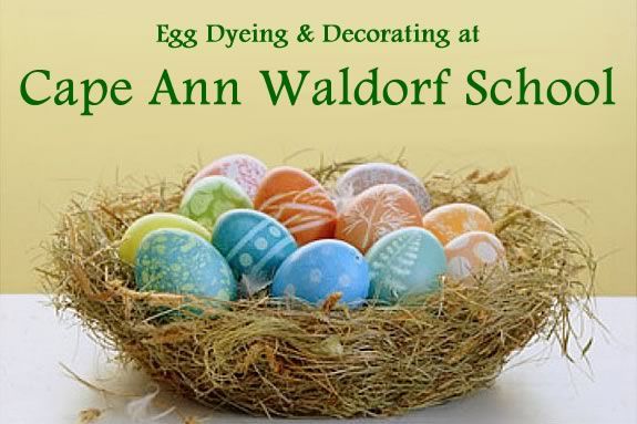 Celebrate Spring by syeing eggs with your family at the Cape Ann Waldorf School in Beverly MA Celebrate Spring by syeing eggs with your family at the Cape Ann Waldorf School