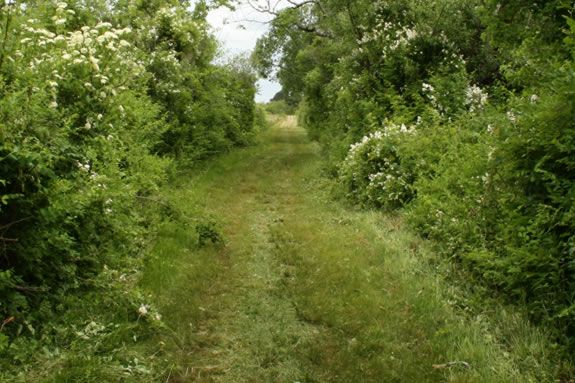 The Cedar Point Trail at the Crane Estate winds through varied terrain to a beac