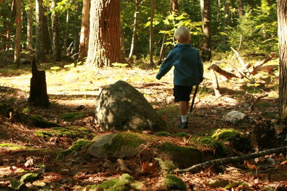 The Children's Rocky Woodland at Ravenswood Park is a kid friendly loop trail in Gloucester, Massachusetts The Children's Rocky Woodland at Ravenswood Park is a kid friendly loop trail