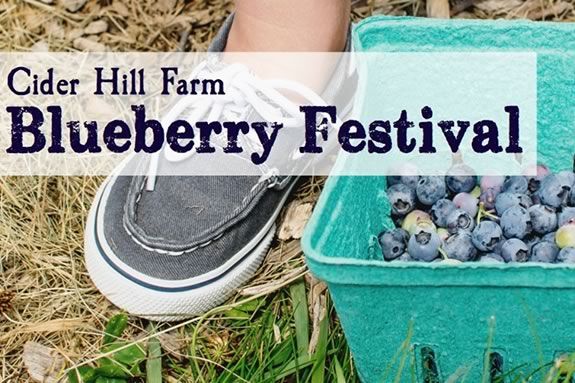 Blueberry Festival at Cider Hill farm in Amesbury Massachusetts Blueberries Family Fun Live Music Blueberry Festival at Cider Hill farm in Amesbury Massachusetts