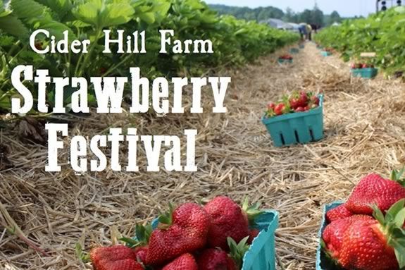 Strawberry Festival at Cider Hill Farm in Amesbury Massachusetts Strawberry Festival at Cider Hill Farm in Amesbury Massachusetts