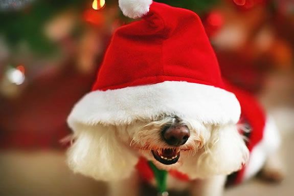 Calendar of Events and Things to Do Northshore Massachusetts. Shopping, Dining and Entertainment at MarketStreet Lynnfield Calendar of Events and Things to Do Northshore Massachusetts. Shopping, Dining and Entertainment at MarketStreet Lynnfield