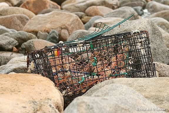 Some coastal trash is accidental like this lobster pot washed up by a storm. CoastSweep Cleanup Rockort Massachusetts