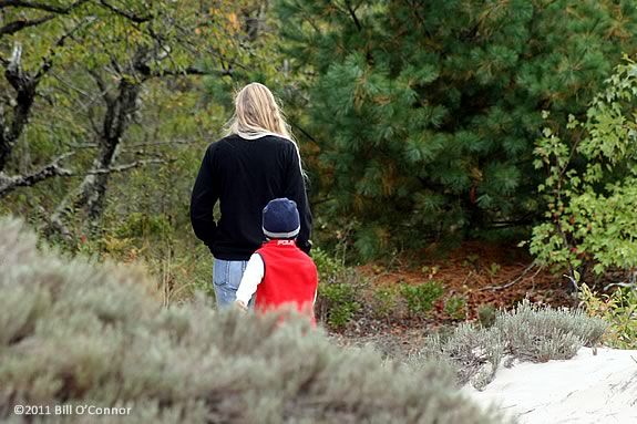 Hike the coastal forest with your child on this parent child walkabout at Joppa 