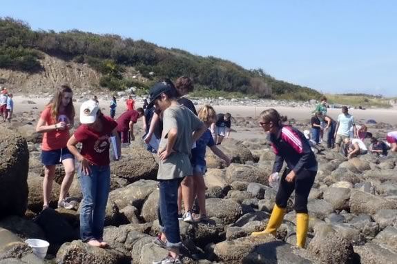 Celebrate the Coast at Joppa Flats Education Center with your Family! 