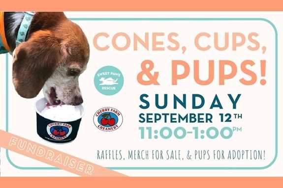 Cherry Farm Creamery in Danvers hosts a fundraiser for Sweet Paws Rescue Cherry Farm Creamery in Danvers hosts a fundraiser for Sweet Paws Rescue