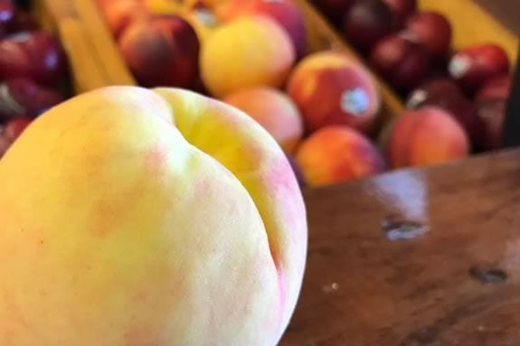 Come join the fun at Connors Farm in Danvers for their peach festival in August!