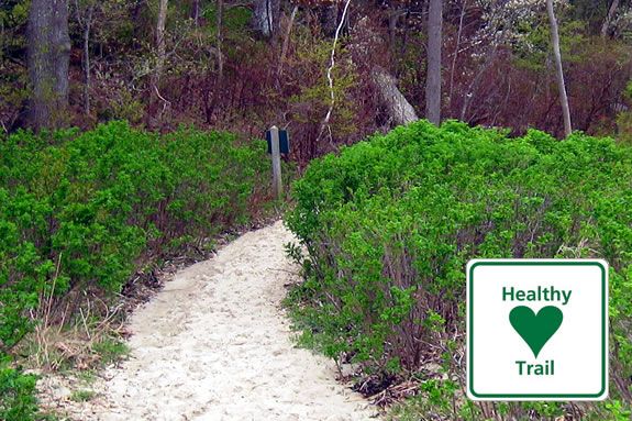 Walk the varied terrain at Coolidge point Reservation for a heart healthy Sunday morning!