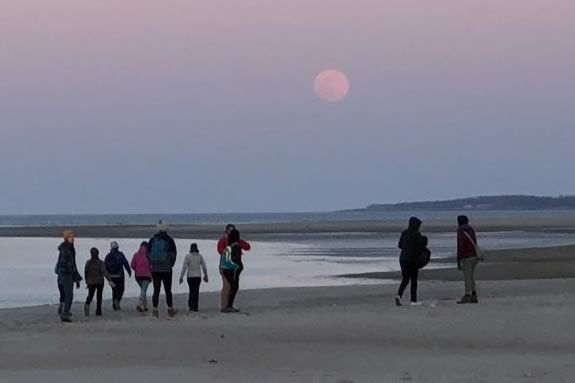 Walk through the Crane Wildlife Refuge in Ipswich Massachusetts with the Trustees under the full moon.