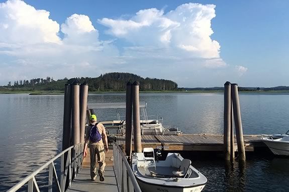 Take in beautiful views of the Crane Wildlife Refuge while learning about estuary flora and fauna and environmental conditions at the Crane Boat Dock. Take in beautiful views of the Crane Wildlife Refuge while learning about estuary flora and fauna and environmental conditions at the Crane Boat Dock.