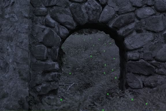 Hunt for fireflies with the Trustees at the Crane Estate in Ipswich Massachusetts! Hunt for fireflies with the Trustees at the Crane Estate in Ipswich Massachusetts!