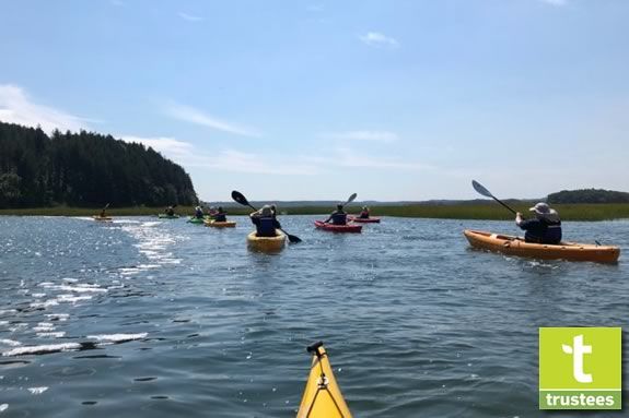 Take a guided kayak paddle adventure on the Castle Neck River with the Trustees of Reservations!