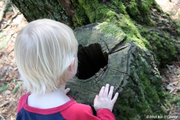 Kids can explore the Trustees of Reservations' Coolidge Point Reservation with their favorite adult at Curiosity Companions! Kids can explore the Coolidge Reservation with their favorite adult!