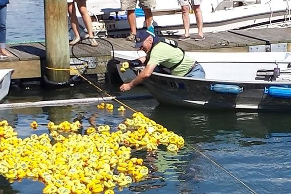 The Danvers Kiwanis Annual “Rubber Duck Race” raises money for scholarship funds for local college students