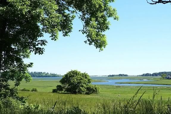 Student Explorations: The Great Marsh and Climate Change at the Cox Reservation in Essex, Massachsuetts