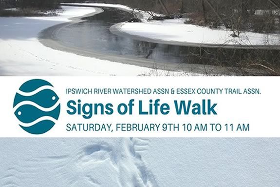 Look for signs of life with the Ipswich Watershed Association and ECGA on this Winter Hike!