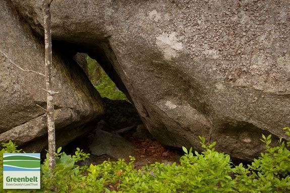 Celebrate National Trails Day at Thompson Street Reservation in Gloucester Massachusetts with the Essex County Greenbelt Association.