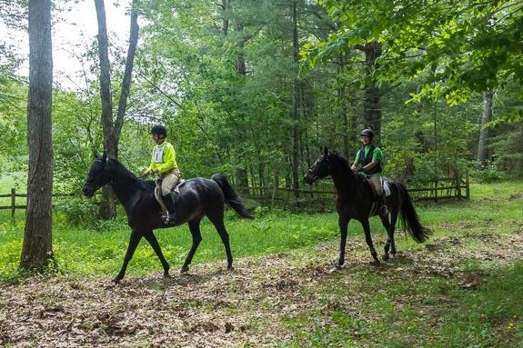 Essex County Trail Association is hosting the annual Equine EXPO at Topsfield Fairgrounds Essex County Trail Association is hosting the annual Equine EXPO at Topsfield Fairgrounds