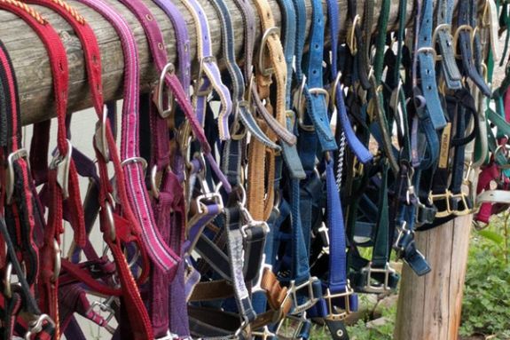 Essex County Trail Association Essex County Trail Association Equine Gear Pre-winter sale