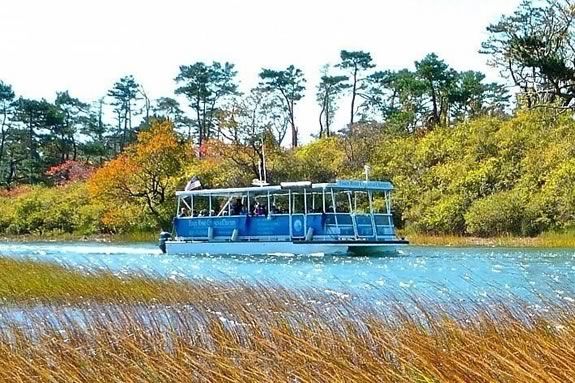 Take a guided tour of the Essex Massachusetts Marshes with Essex River Cruises this Autumn