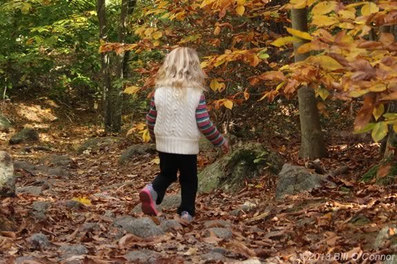 Kidleidoscope is a programs designed for preschoolers at Harold Parker State Forest Park