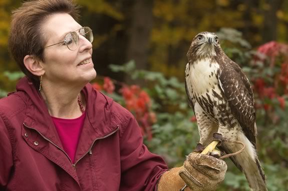 Bring your kids to the Hammond Castle Museum in Gloucester Massachusetts for a live falconry presentation