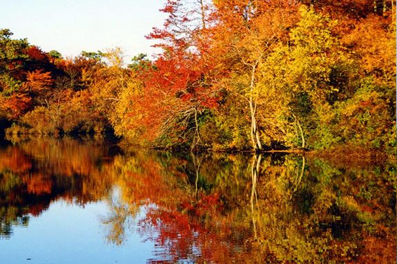 Come see fall foliage from a different perspective on the Fall Foliage Paddle.