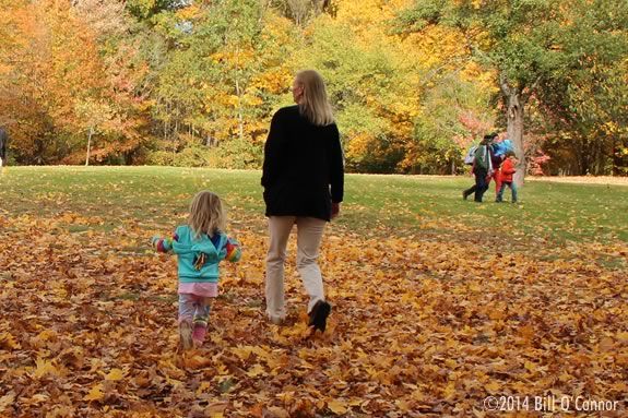 Enjoy and afternoon stroll with the park interpreter at Maudlsay State Park in Newburyport