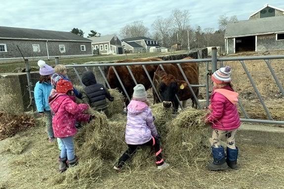 Join The Trustees of Reservations at Appleton Farms for our special, hands-on Family Farm Chores program held on Fridays, Saturdays & Sundays