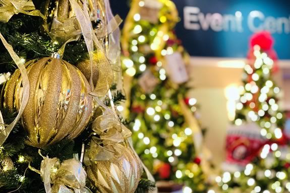 Experience the joy and excitement of Salisbury’s most popular holiday tradition with glittering trees, indoor ice skating, Santa visits and more,