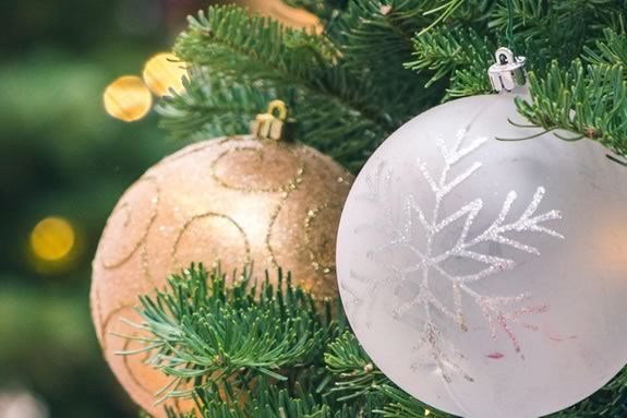 Fishtown Horribles Parade Trees, a holiday fundraiser in Gloucester Massachusetts