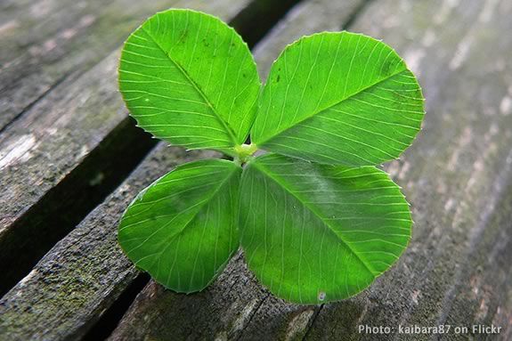 Teens will celebrate their luck at the Newburyport Public Library!