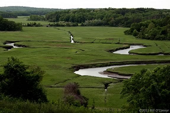 Kayak the twists and turns of Fox Creek in Ipswich with the Trustees of Reservations