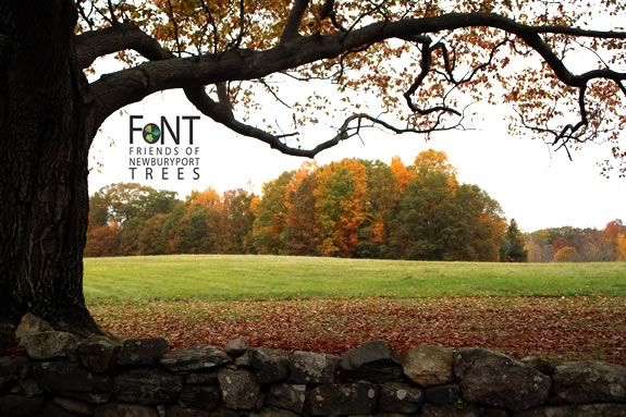 Friends of Newburyport Trees (FoNT) celebrate trees in this special program for preschoolers!