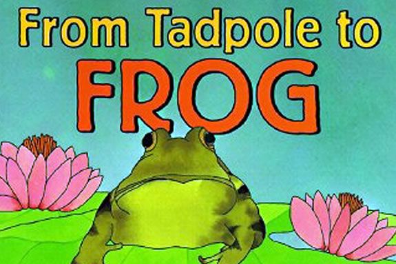 'From Tadpole to Frog' by Wendy Pfeffer tells the story of a frog's life cycle.
