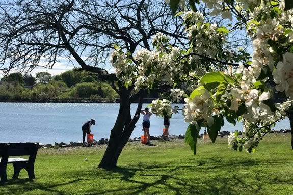 Join Salem Sound Coastwatch for a Coastsweep cleanup of the Furlong Park in Salem! Join Salem Sound Coastwatch for a Coastsweep cleanup of the Furlong Park in Salem!