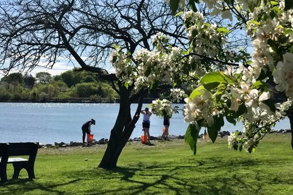 Join Salem Sound Coastwatch for a Coastsweep cleanup of the Furlong Park in Salem!