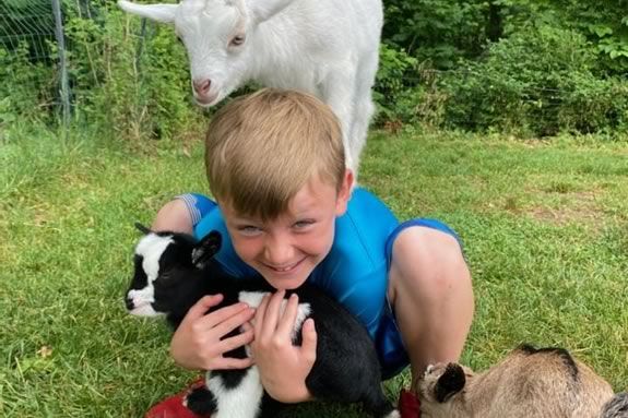 Goats and Giggles at the Public Library in Rowley Massachusetts
