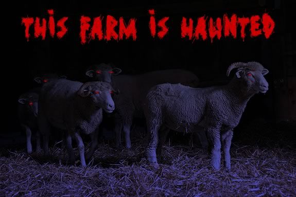 Is Green Meadows Farm Haunted?  Coem find out and enjoy some Halloween Fun  on t