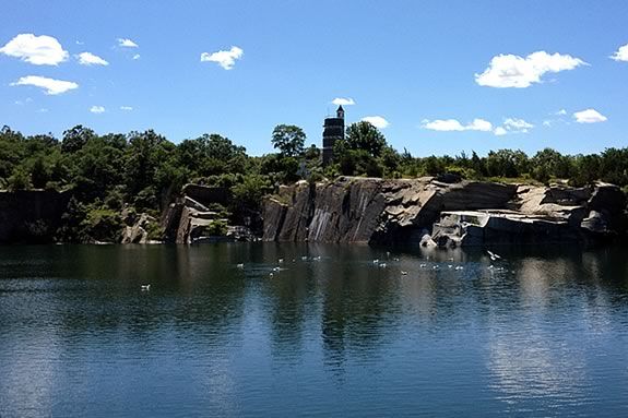 Take a walk around Halibut Point and learn about it's facinating mix of habitats