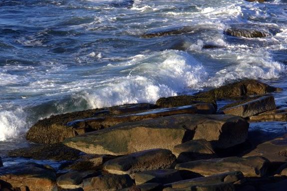 Earthday for shoreline cleanups at Halibut Point and Coolidge Point Reservation!