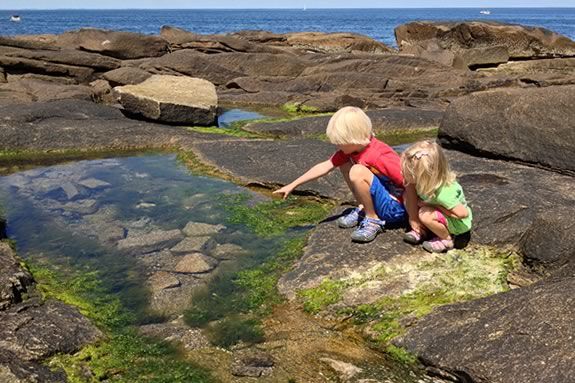 The tide pools at Halibut Point State Park in Rockport Massachusetts are some of the best in New England!