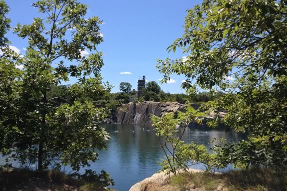 Come learn about the secret life of trees at Halibut Point State Park. Come learn about the secret life of trees at Halibut Point State Park.