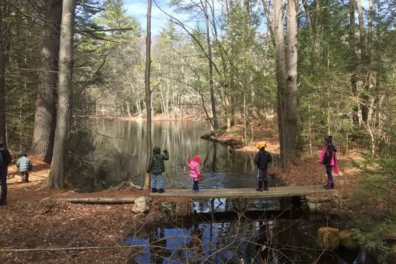 Walk the trails in a group at Harold Parker State Forest Every Wednesday at 10am Walk the trails in a group at Harold Parker State Forest Every Wednesday at 10am
