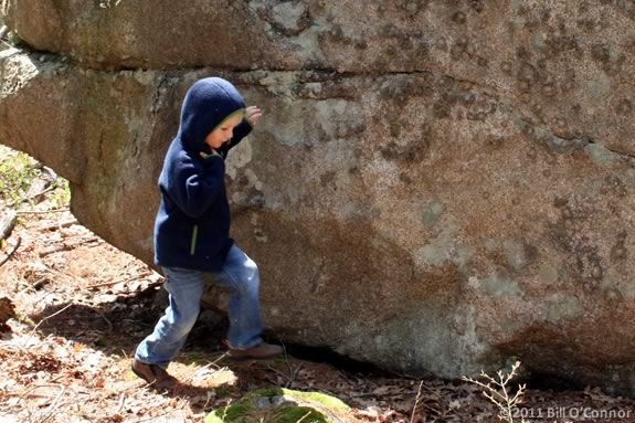 Hikin' Kids is designed to acclimate preschool kids to the forest environment and the outdoors at Harold Parker State Forest! Hikin' Kids is designed to acclimate kids to the forest environment!