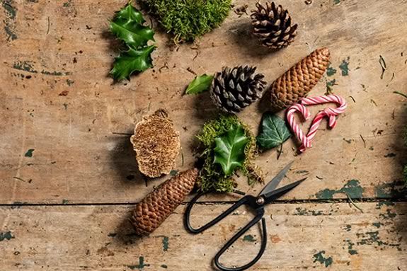 DIY Holiday Centerpiece Workshop at Camp Kent in Amesbury Massachusetts DIY Holiday Centerpiece Workshop at Camp Kent in Amesbury Massachusetts